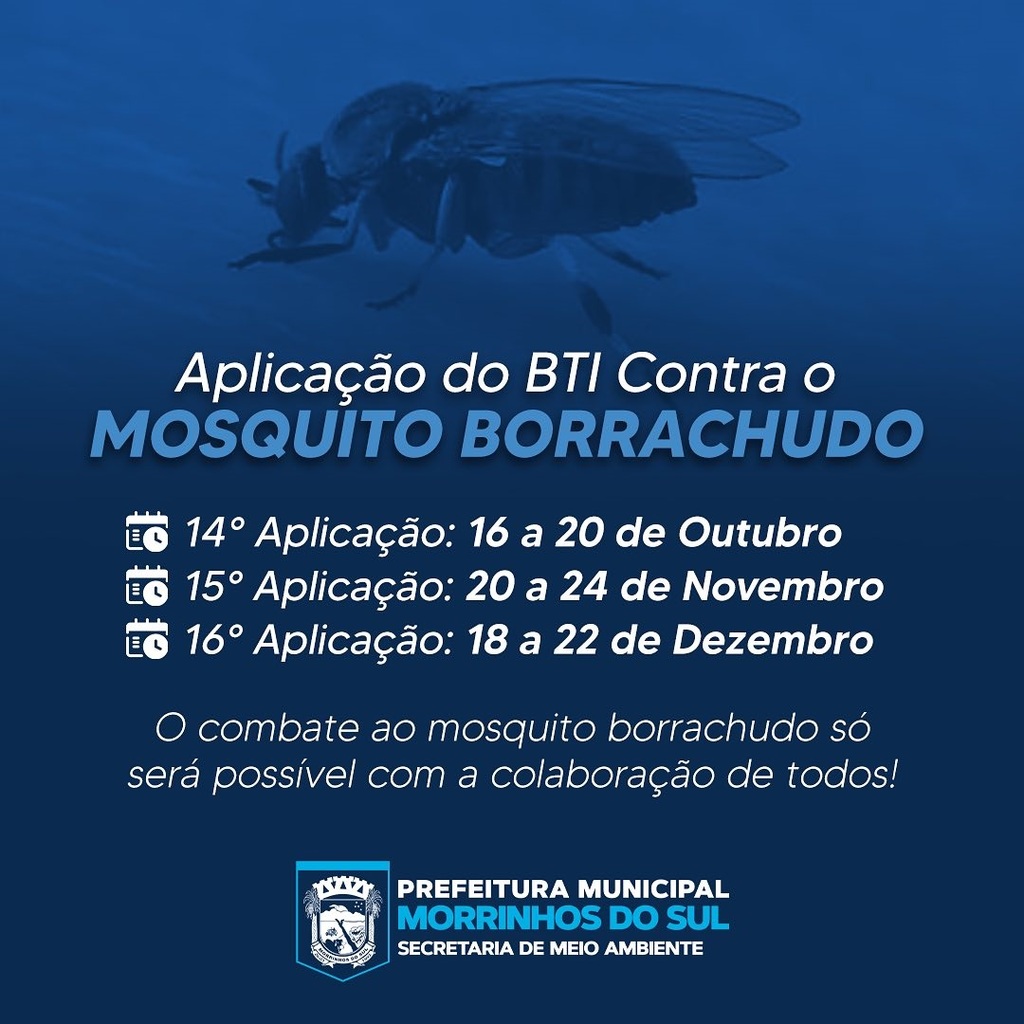 MUNICÍPIO DE MORRINHOS DO SUL ORIENTA SOBRE APLICAÇÃO DO BTI CONTRA O MOSQUITO BORRACHUDO