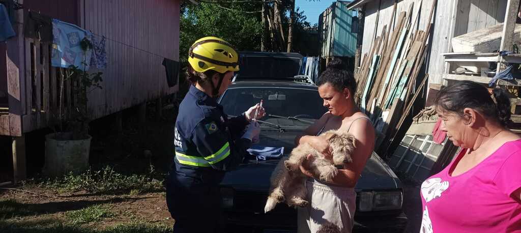 Mais de 200 animais são resgatados em Lages após alagamentos no final de semana