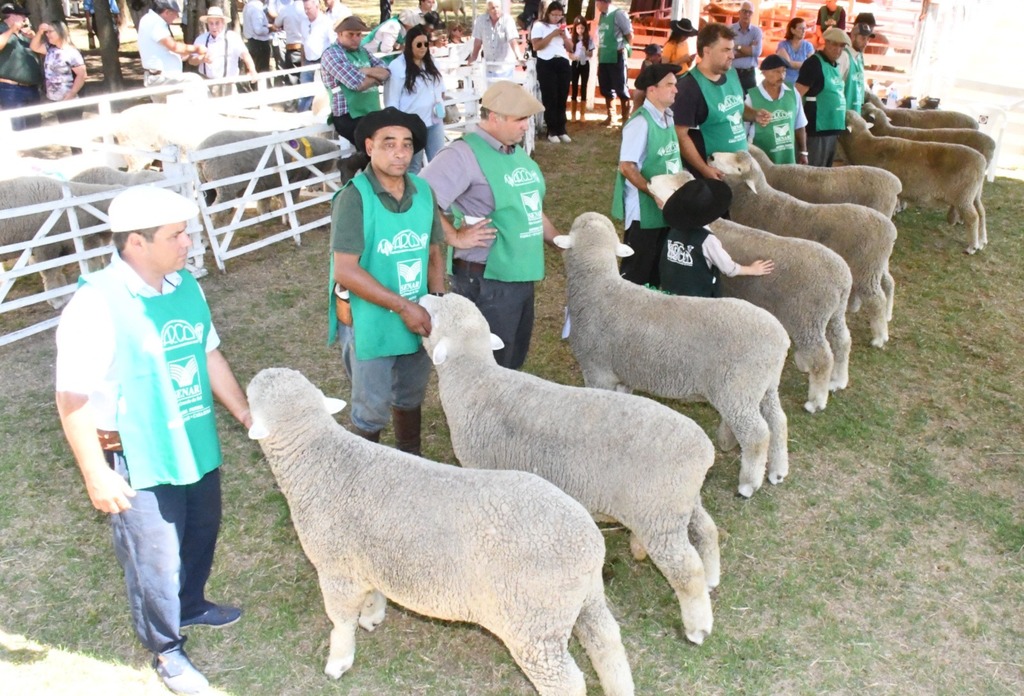 Divulgação - Além do Rio Grande do Sul, eventos ocorrem em outras partes do Brasil como Paraná, São Paulo, Rio Grande do Norte, Alagoas, entre outros