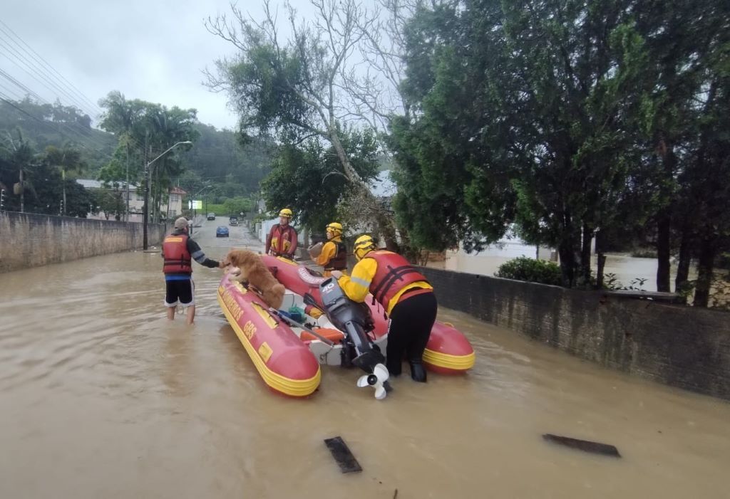 Foto: Divulgação/CBMSC - 