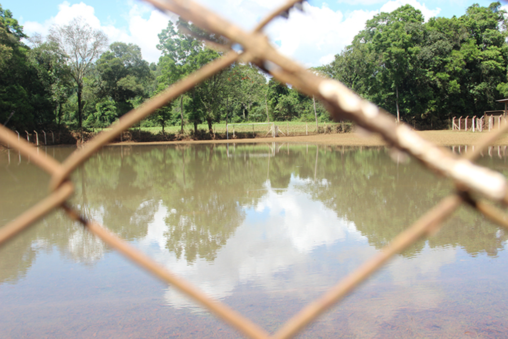  - Campo de Borboleta Baixa ficou completamente submerso