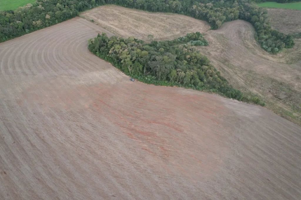 SC teve 644 hectares desmatados de forma ilegal em 2023, aponta levantamento