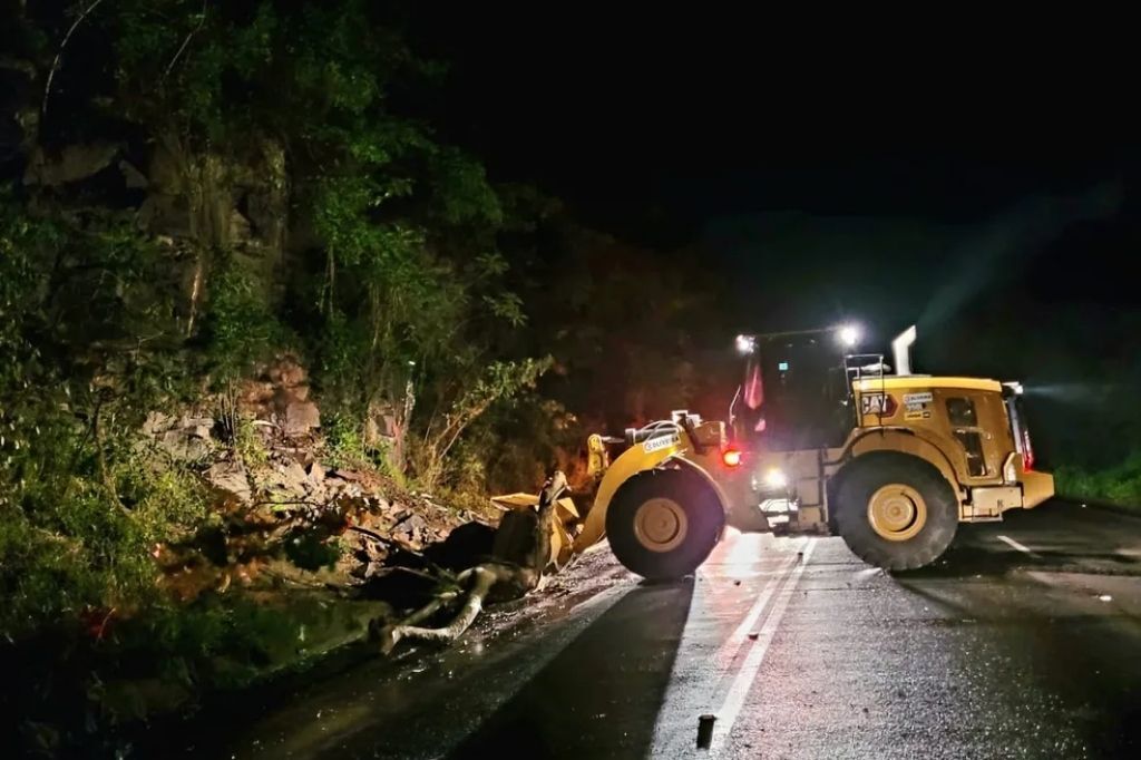  - Queda de árvore em Cordilheira Alta, no Oeste de Santa Catarina — Foto: NSC TV/Reprodução