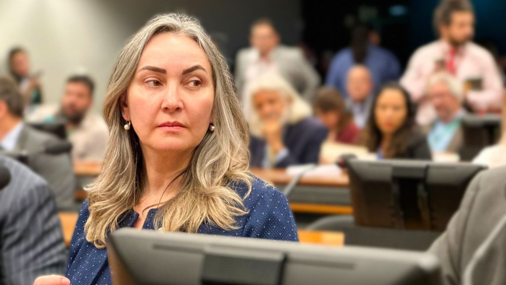 CÂMARA DOS DEPUTADOS