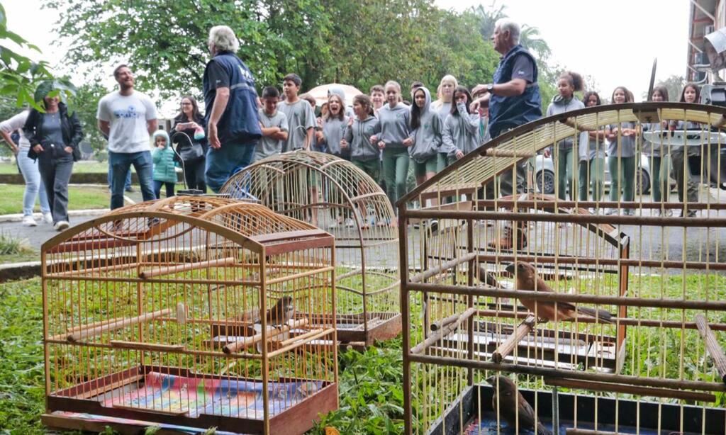 Alunos da Escola Agrícola em Pirabeiraba participam de soltura de aves silvestres resgatadas