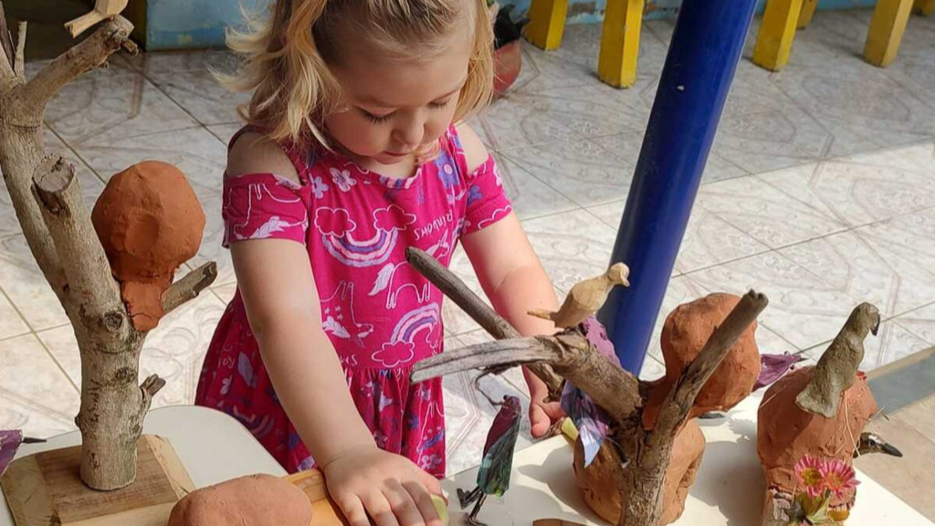 Feira do livro da escola Dom Bosco acontece em novembro