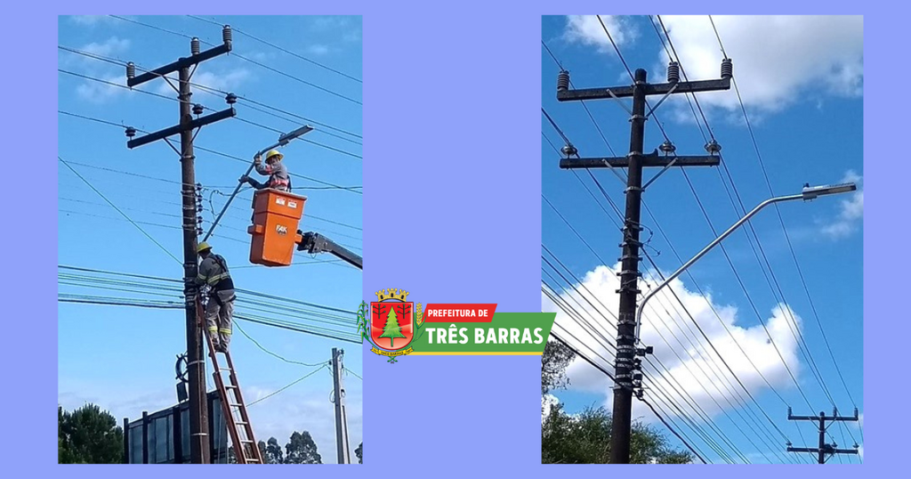 Divulgação - 