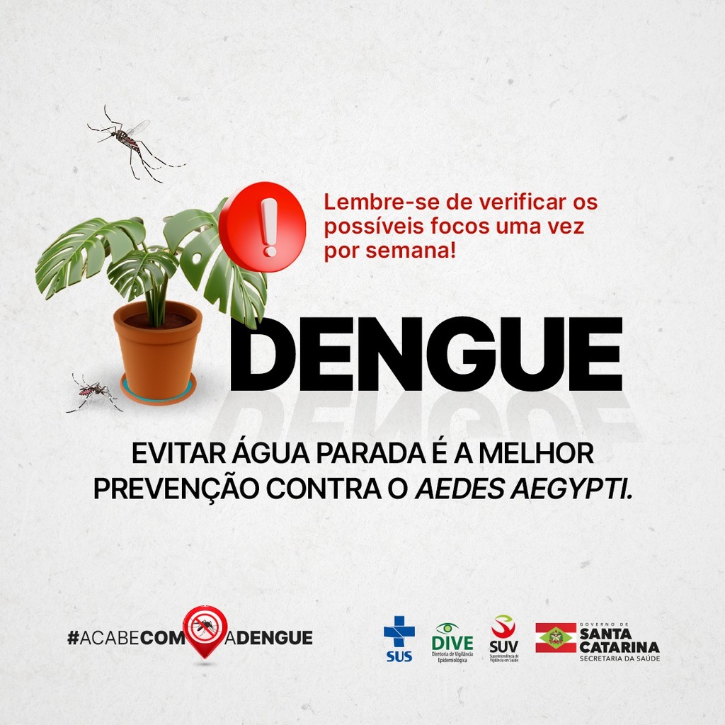 Saúde orienta sobre os cuidados com a dengue no feriado de Finados