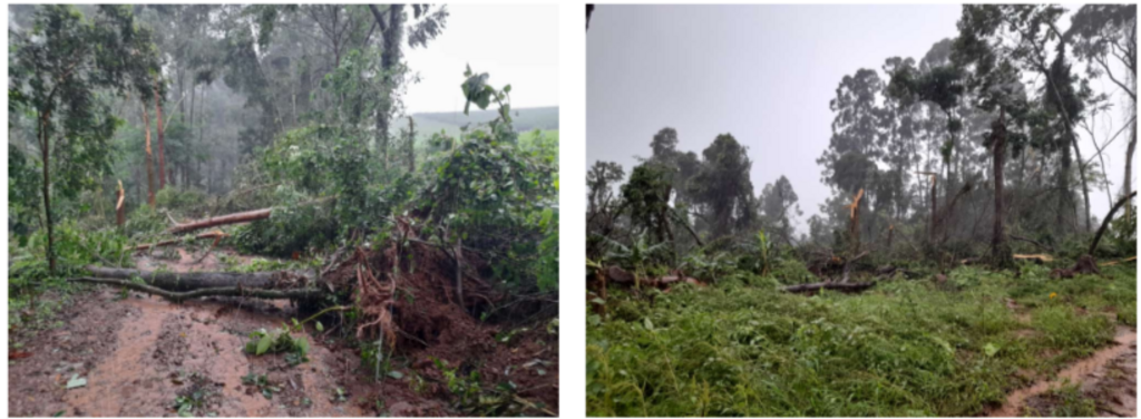 Defesa Civil de Santa Catarina confirma tornado em Cunha Porã