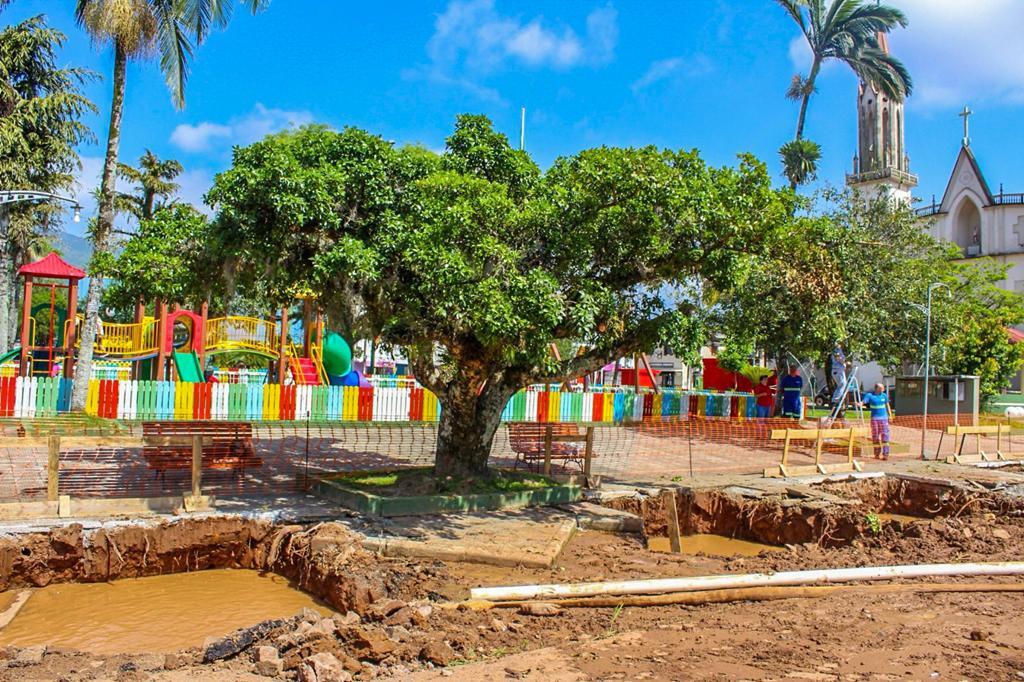 PRAIA GRANDE: OBRA DA RUA COBERTA VAI PRESERVAR A FIGUEIRA HISTÓRICA