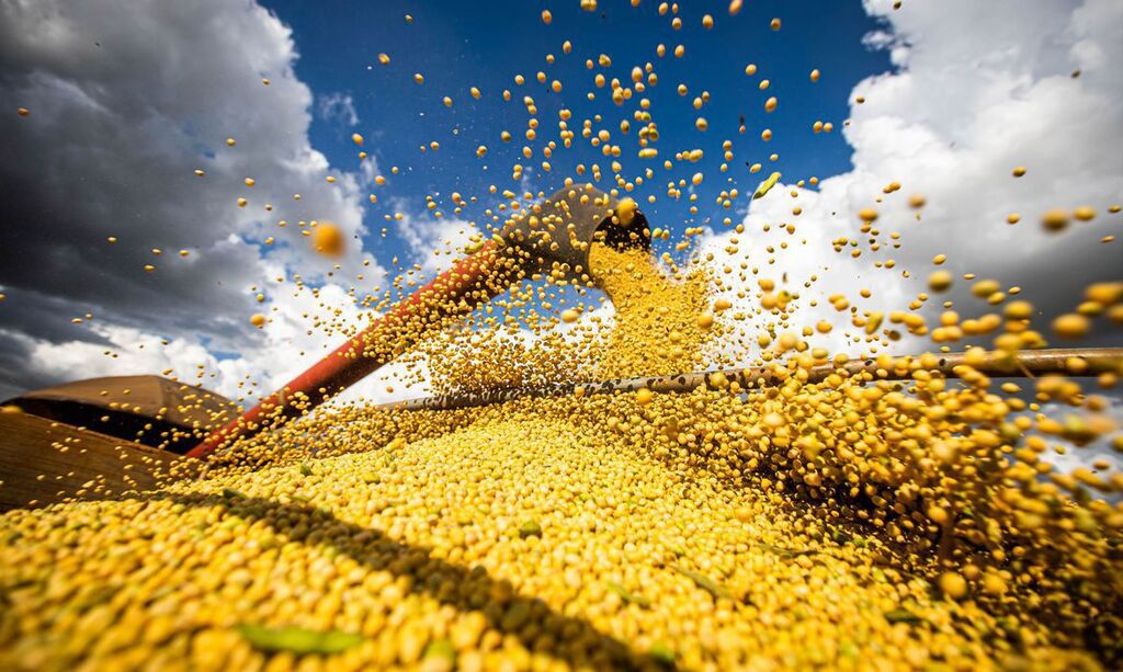 Companhia Nacional de Abastecimento estima safra de 40 milhões de toneladas de grãos no Rio Grande do Sul