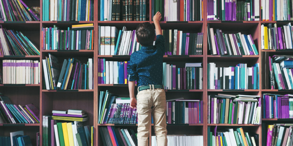 Secretaria de Estado retira livros de circulação nas escolas públicas de Santa Catarina