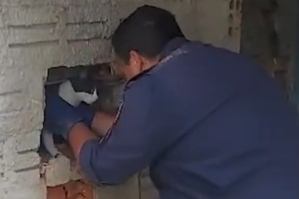 VÍDEO: bombeiros quebram parede para resgatar gato preso em churrasqueira