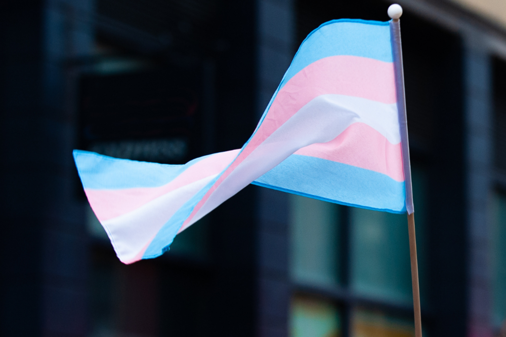 Brasil é réu na Corte Interamericana por negar cirurgia a mulher trans