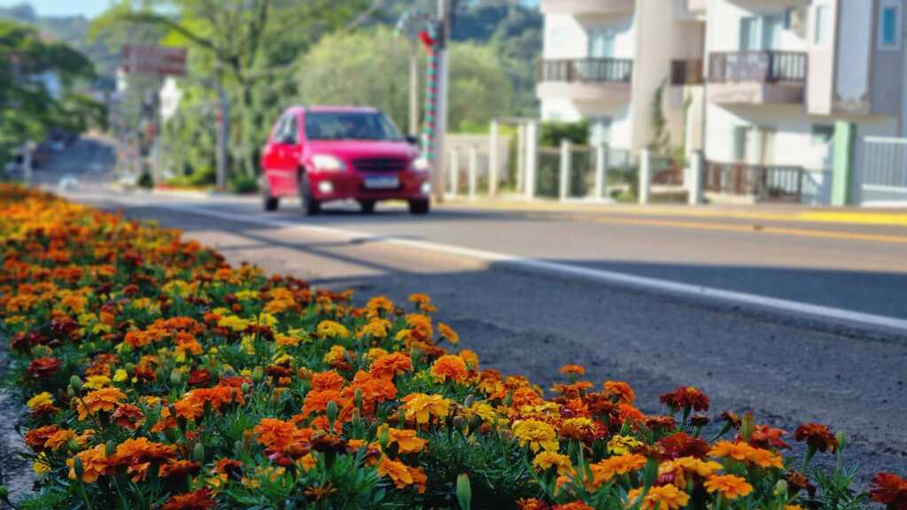 TREZE TÍLIAS GANHA O COLORIDO DAS FLORES DA NOVA ESTAÇÃO