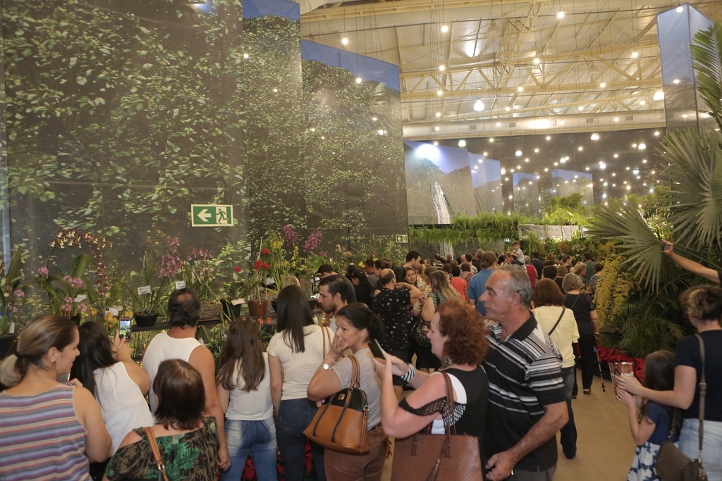 83ª edição da Festa das Flores desperta o encanto dos jardins em Joinville