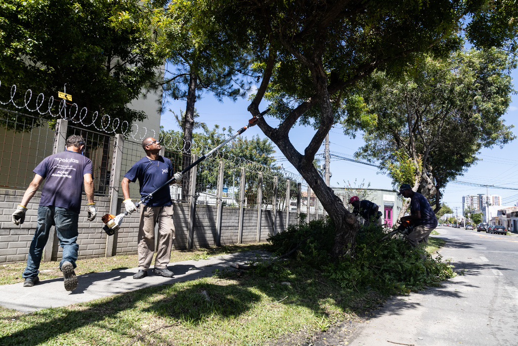 Ciclo Verde realiza mais de 12 mil ações de manejo arbóreo em 2023