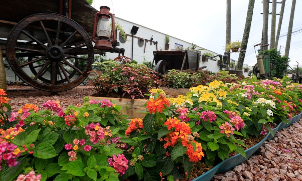 Jardins que se destacam em Joinville pela beleza e cuidado são premiados pela Prefeitura