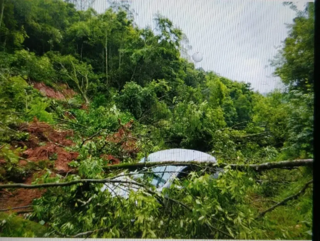  - IMAGENS DIVULGAÇÃO