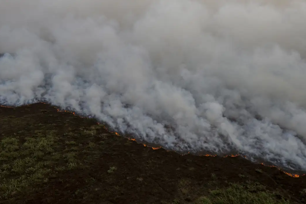 Brigadistas intensificam trabalho de combate a incêndios no Pantanal