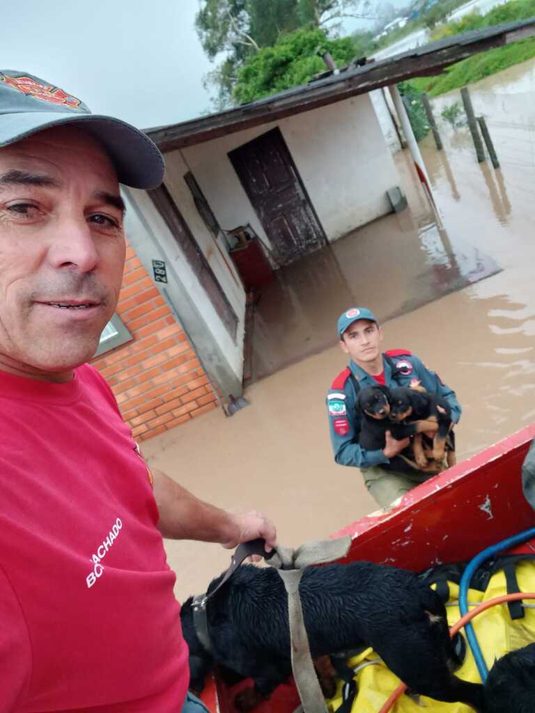 https://suitacdn.cloud-bricks.net/fotos/875992/file/desktop/caes%20salvos%20em%20bom%20retiro%2003.jpeg?1700308990