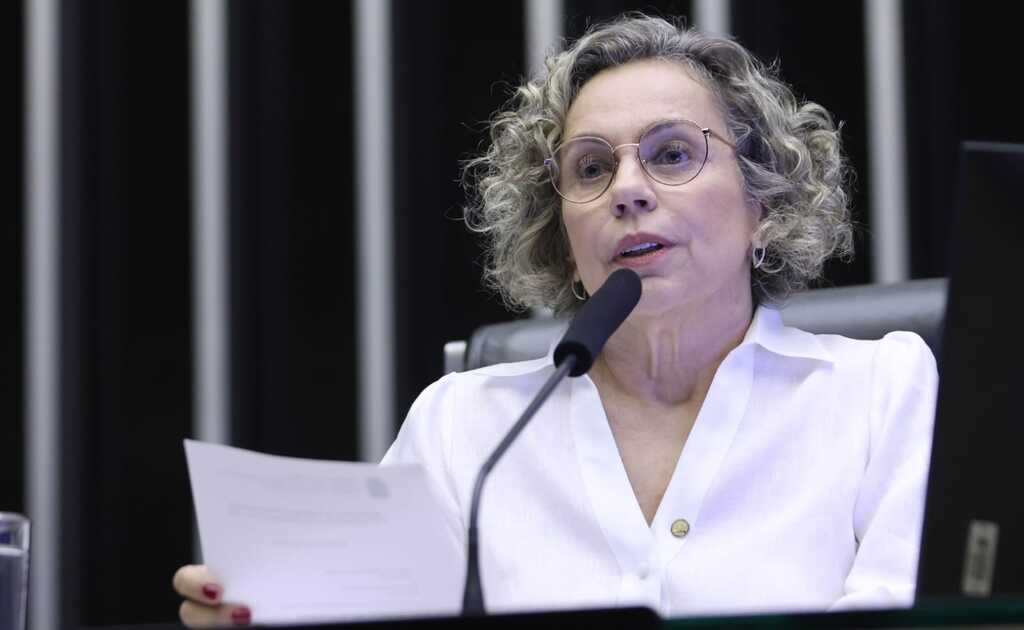 Ascom/Deputada Ana Paulla Lima - Ana Paula Lima é deputada federal (PT/SC) e secretária da Primeira Infância, Infância, Adolescência e Juventude na Câmara dos Deputados