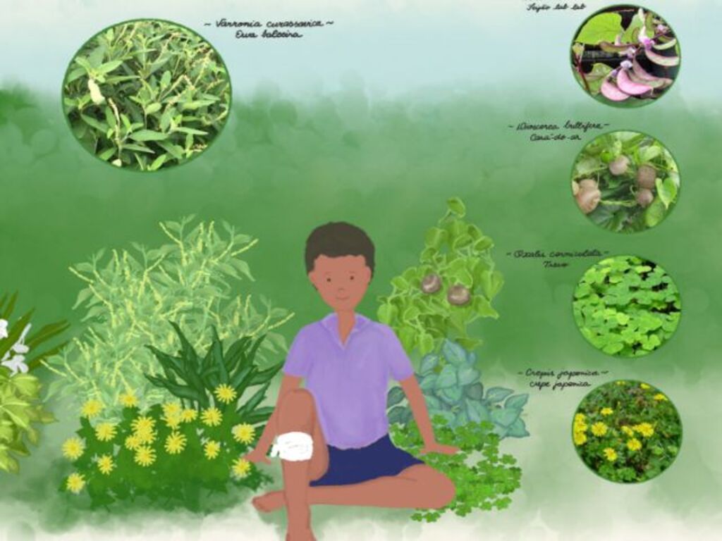 EPAGRI DISPONIBILIZA LIVRO INFANTIL SOBRE PANCS PARA DOWNLOAD EM SANTA CATARINA