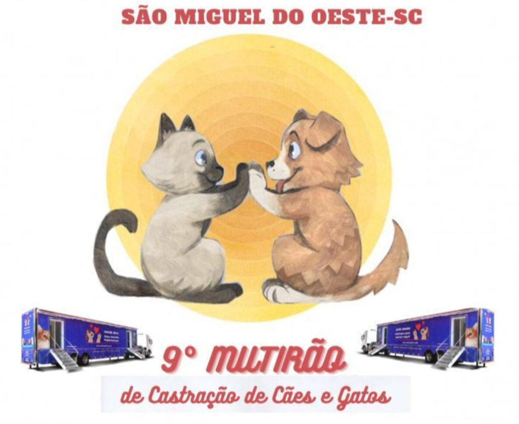 Divulgação - 