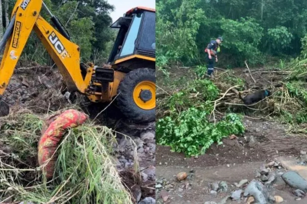  - Buscas pelo idoso tiveram início no sábado (18) – Foto: Divulgação/Corpo de Bombeiros