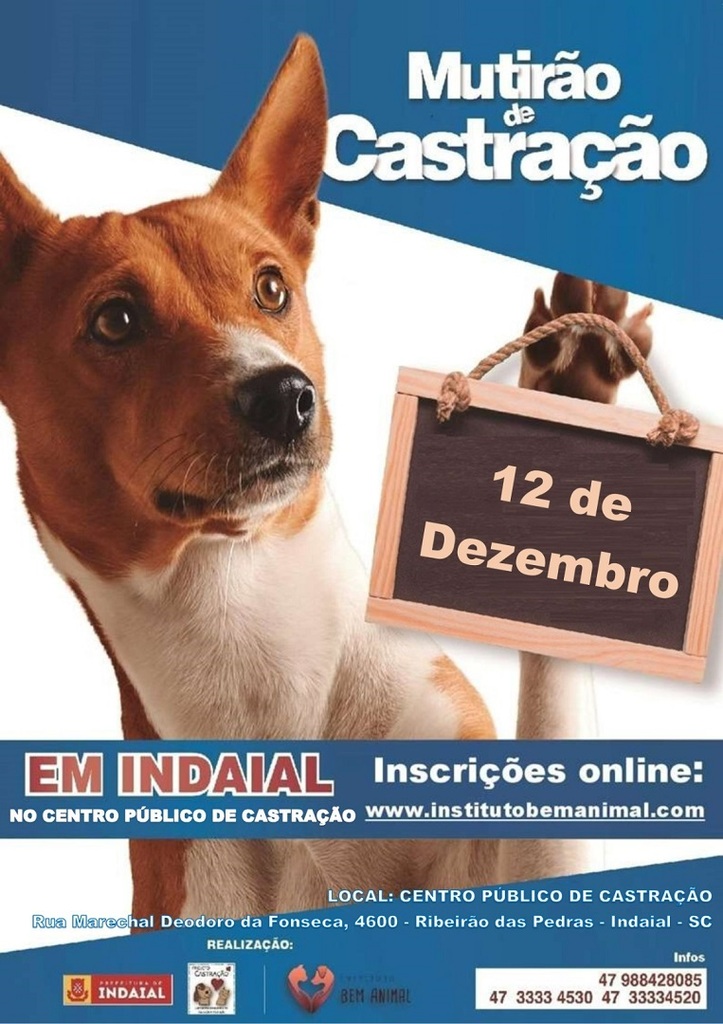 Abertas as inscrições para o 8º Mutirão de Castração Animal