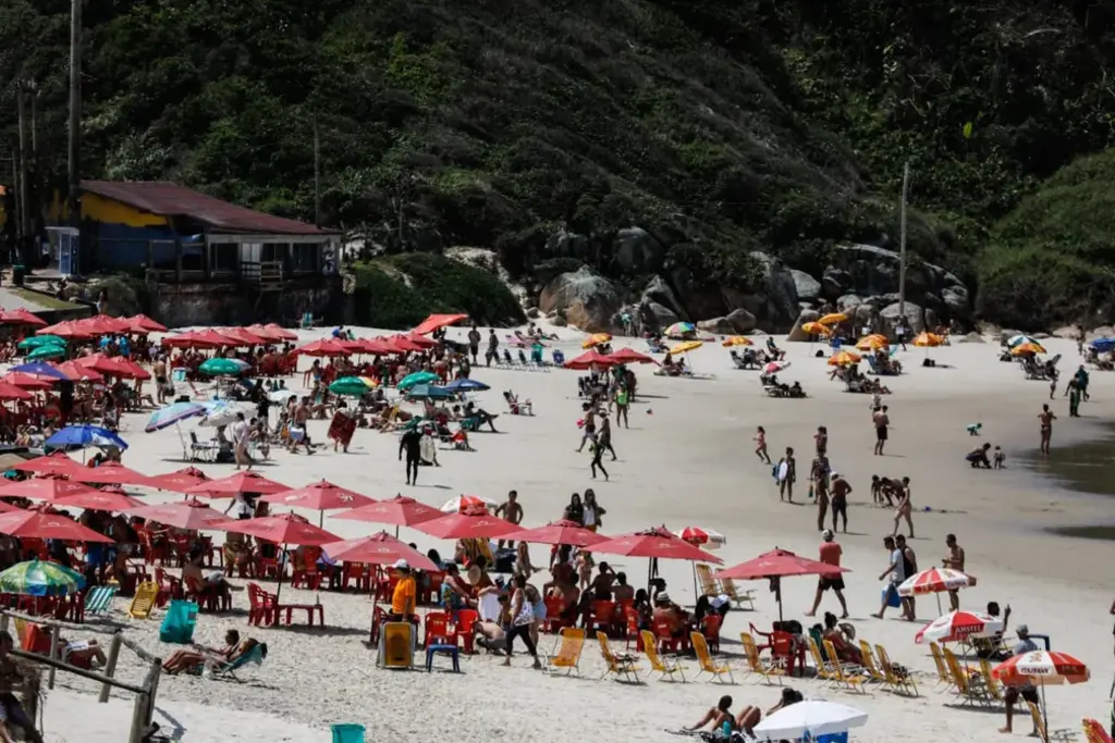 Verão em Santa Catarina será marcado por influência do El Niño, com chuvas e calor acima da média