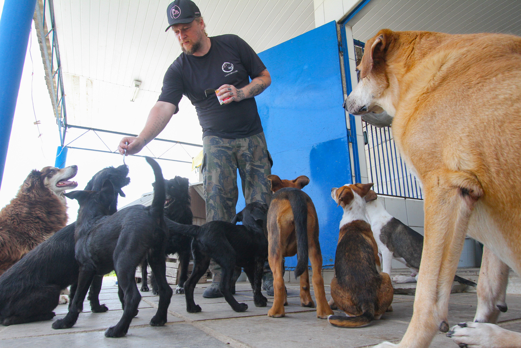 Projeto AdestraCão garante treinamento para animais do Canil Municipal