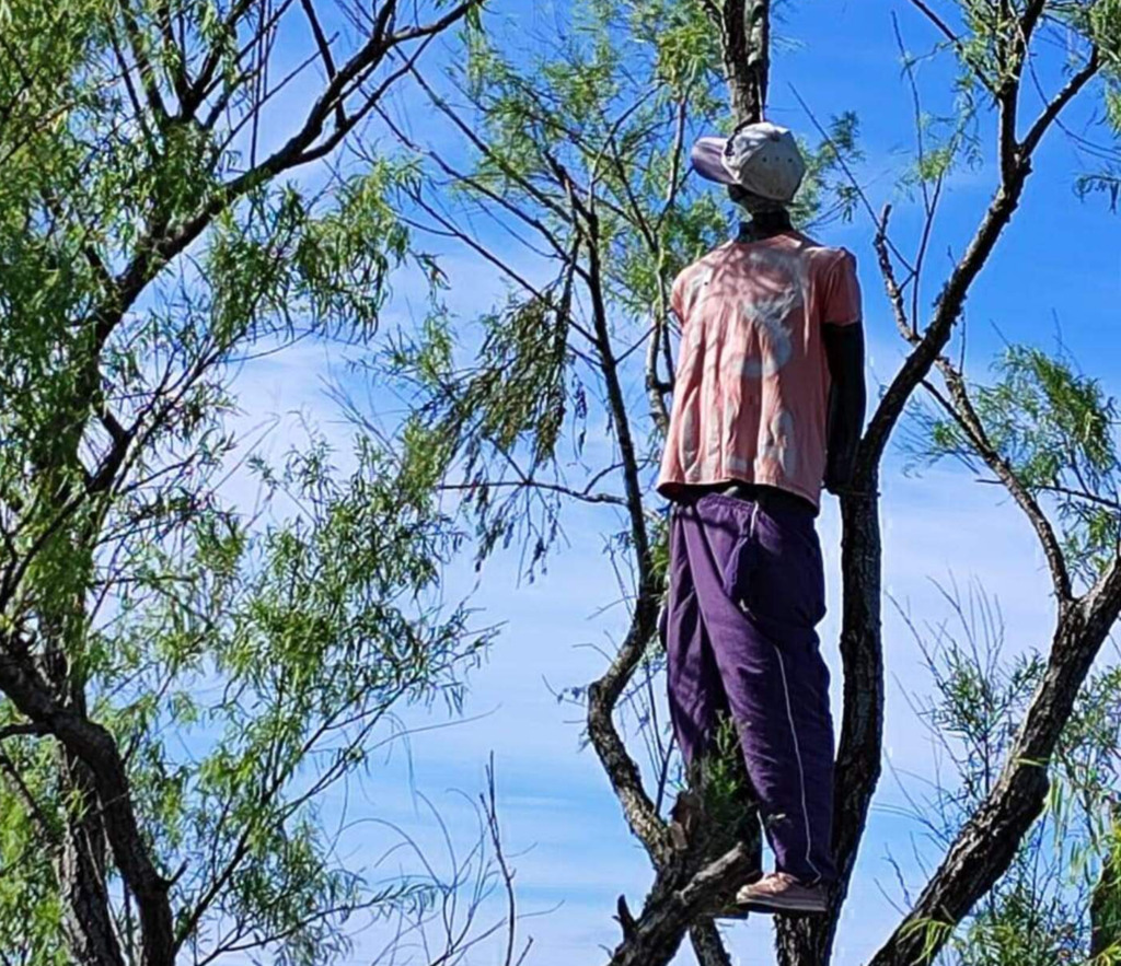 Boneco de pano negro aparece enforcado em árvore em Pelotas