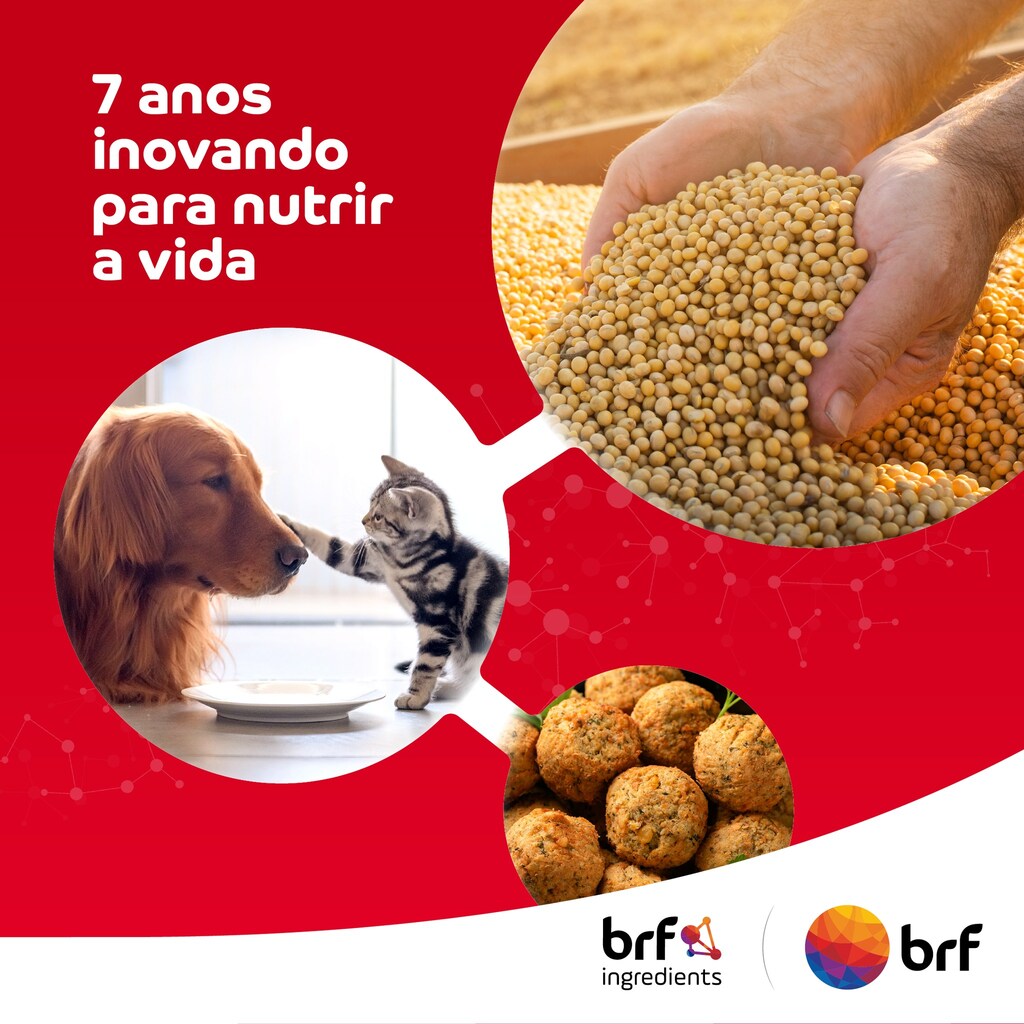 A BRF Ingredients está completando 7 anos!