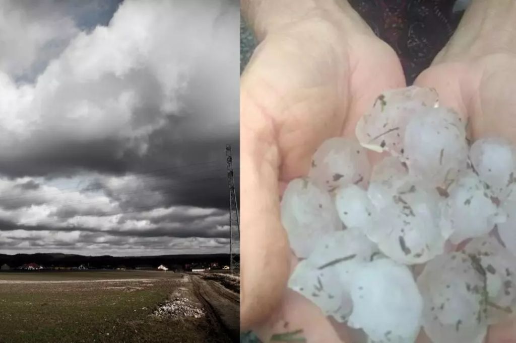 Com bagunça do El Niño, SC deverá sofrer com verão ‘abrasador’ em 2024