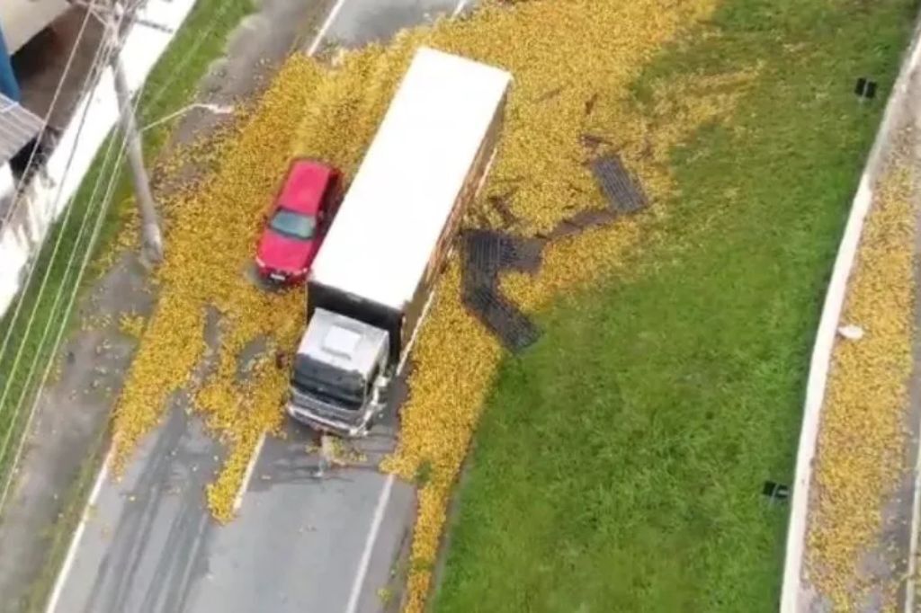  - Caminhão e carro que passavam pelo local foram atingidos por carga de laranja que caiu de outro veículo — Foto: GMF/Divulgação