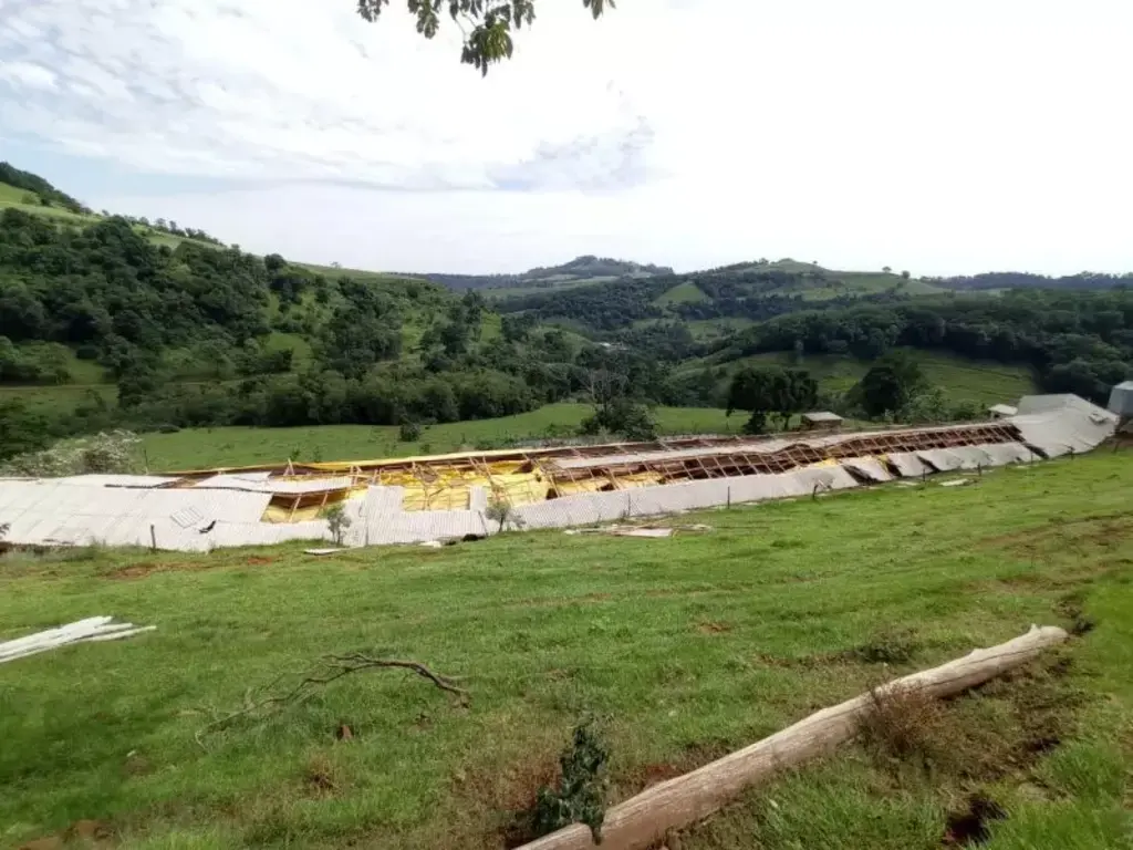 Temporal destrói chiqueiro com 550 porcos e deixa prejuízo de R$ 1 milhão no Oeste de SC