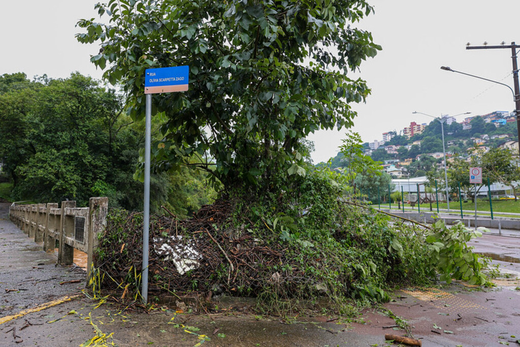 Foto: Roberto Zacarias / Secom Governo do Estado - 