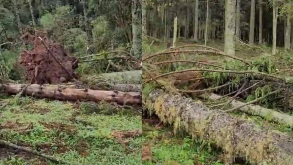  - IMAGENS DIVULGAÇÃO