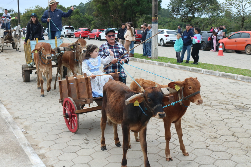 Imagem 3