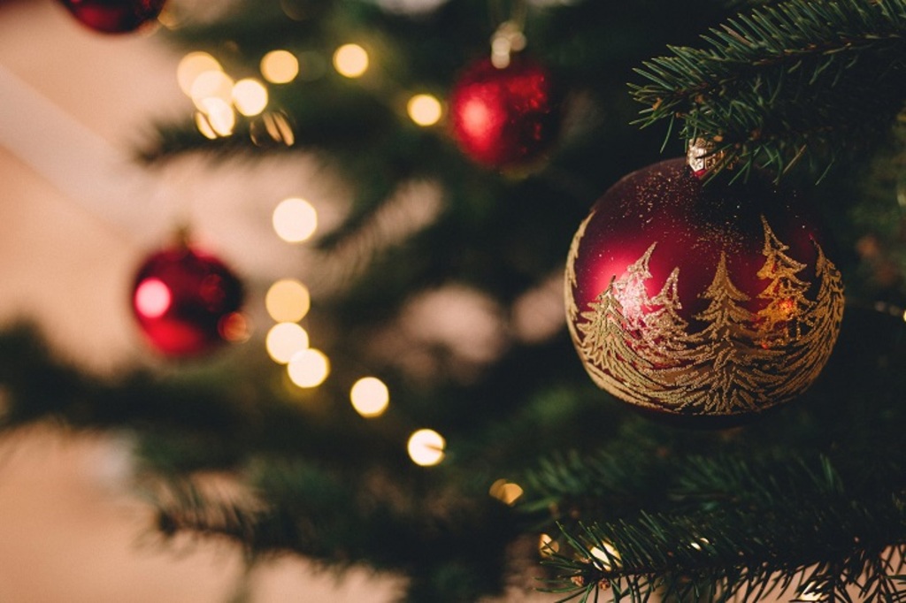 Natal Encantado em Palmeira: Uma celebração de luz, música e alegria