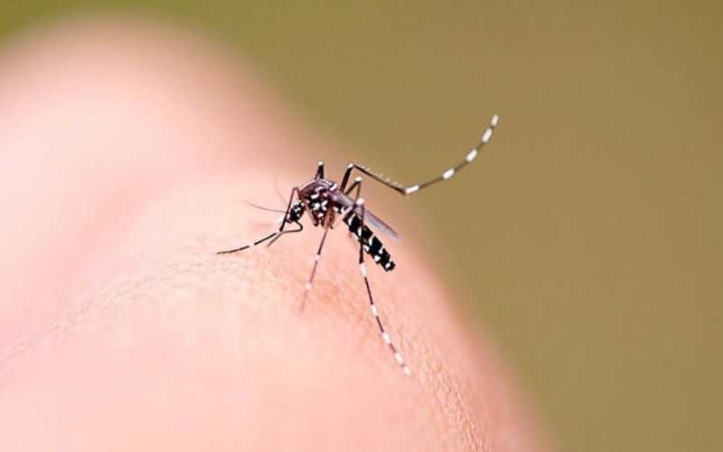 Governo repassa R$5 milhões aos municípios para o combate do Aedes aegypti