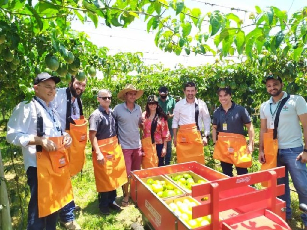 Divulgação/Epagri - 