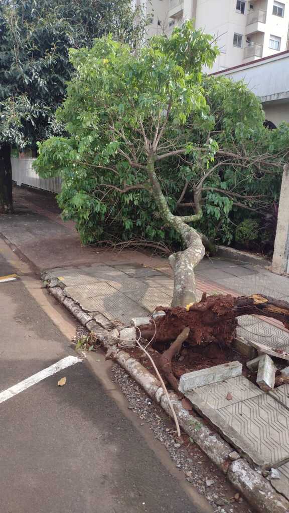 Temporal causa transtornos e prejuízos em São Miguel do Oeste