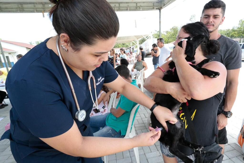 Prefeitura de Joinville realiza mutirão de castração nesta terça-feira, no CBEA