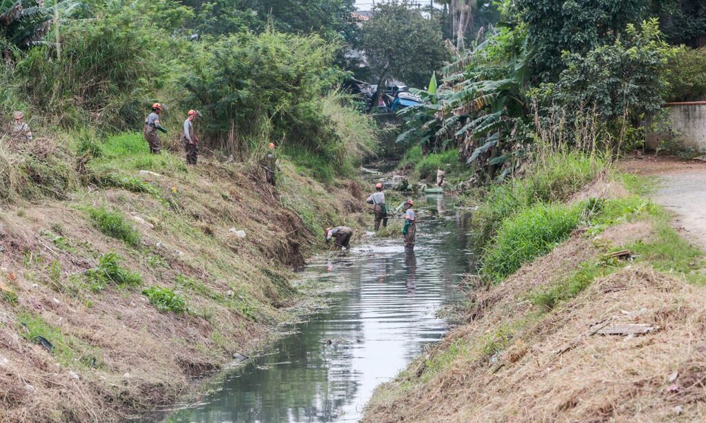 Foto: Prefeitura de Joinville / Divulgação - 