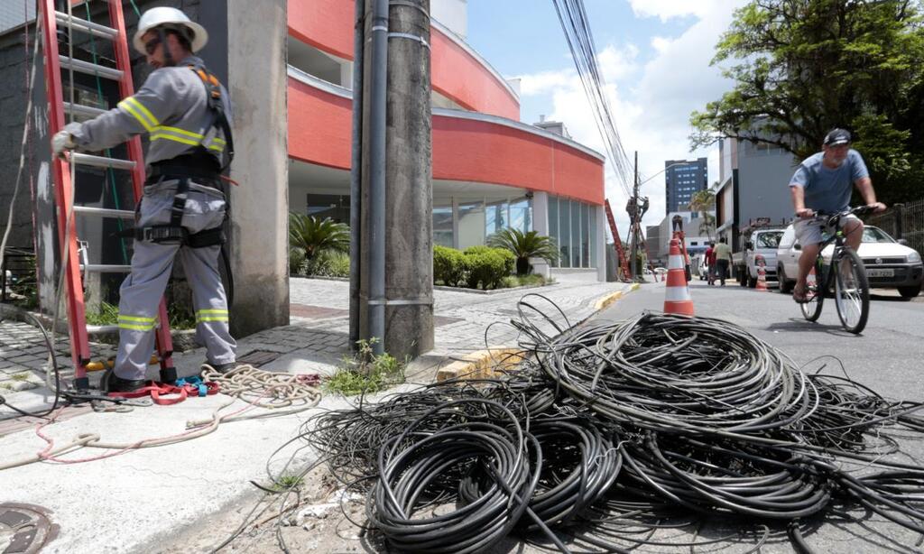 Foto: Prefeitura de Joinville / Divulgação - 