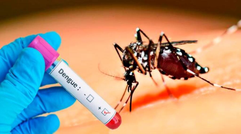 Uruguaiana não registrou mortes por dengue em 2023