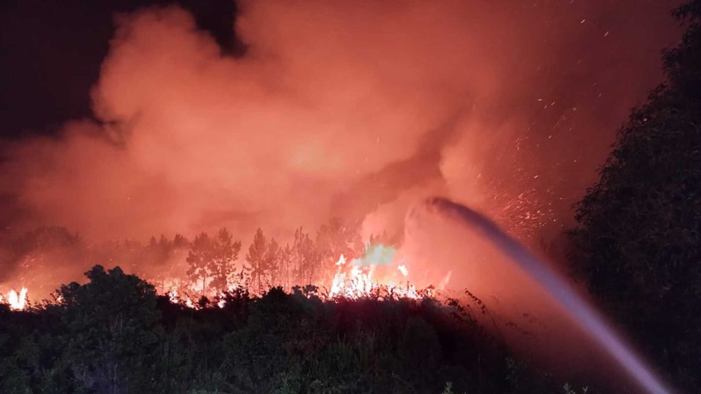 CBMSC/Divulgação - Combate às chamas na vegetação do Parque Estadual da Serra do Tabuleiro