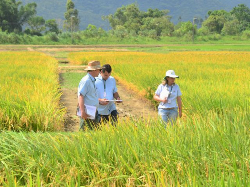 Foto: Aires Mariga / Epagri - 